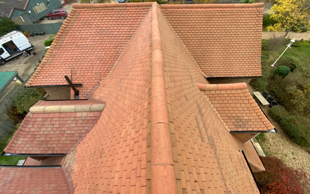 Project 6 Before & After