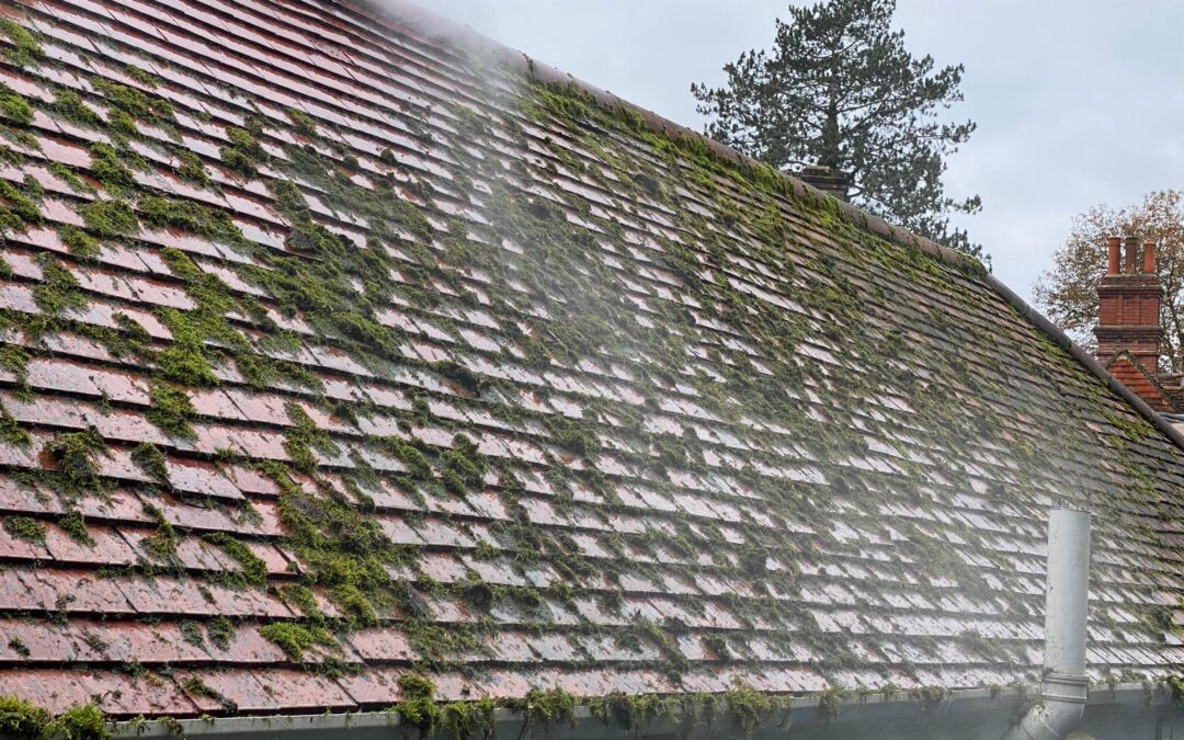 Project 7 Before & After