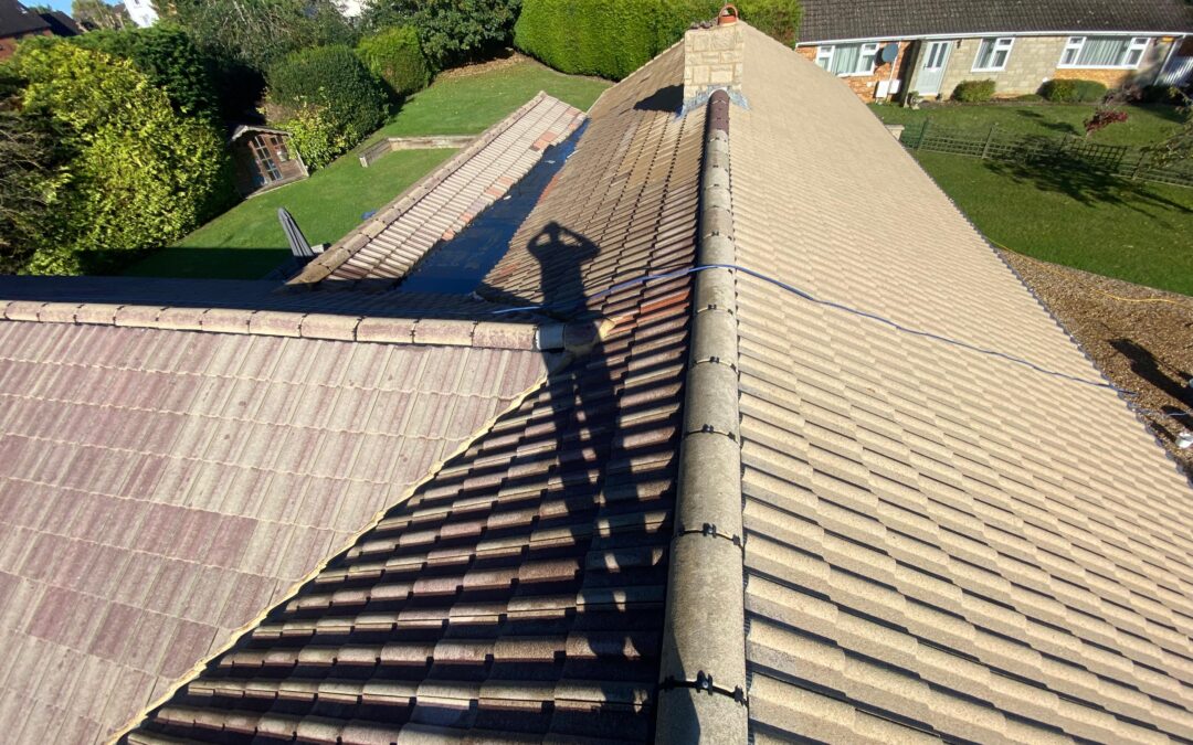 Project 8 Before & After